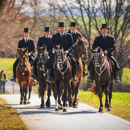 Apartmán Living - Zentrumslage Parkplatz Babybett *